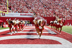 The RedSteppers perform at an IU Football game.